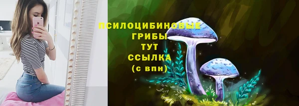 прущая мука Инсар