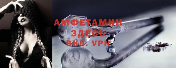 крисы Инта