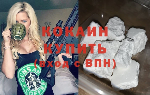 крисы Инта