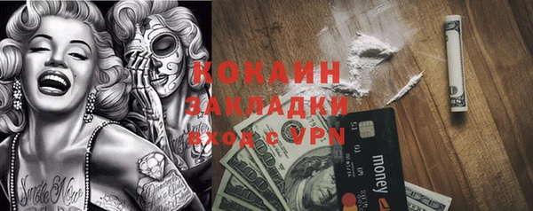 прущая мука Инсар