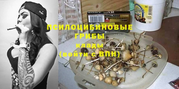крисы Инта
