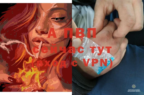 прущая мука Инсар