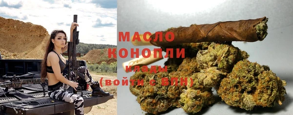 крисы Инта