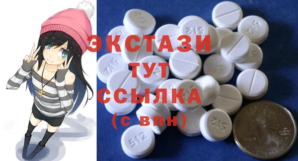 крисы Инта