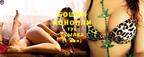 прущая мука Инсар