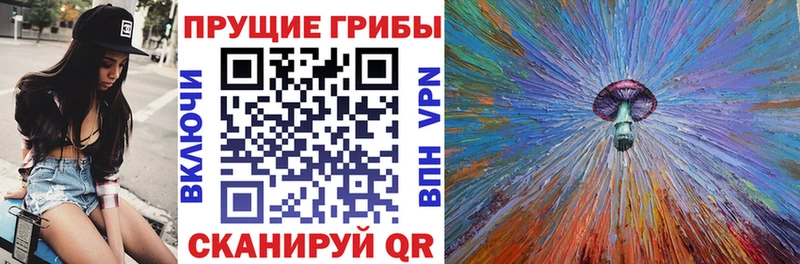 Купить закладки  Демидов  Псилоцибиновые грибы Psilocybe 