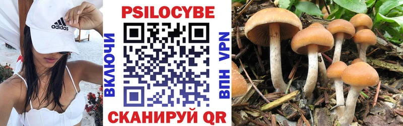 Псилоцибиновые грибы GOLDEN TEACHER Демидов
